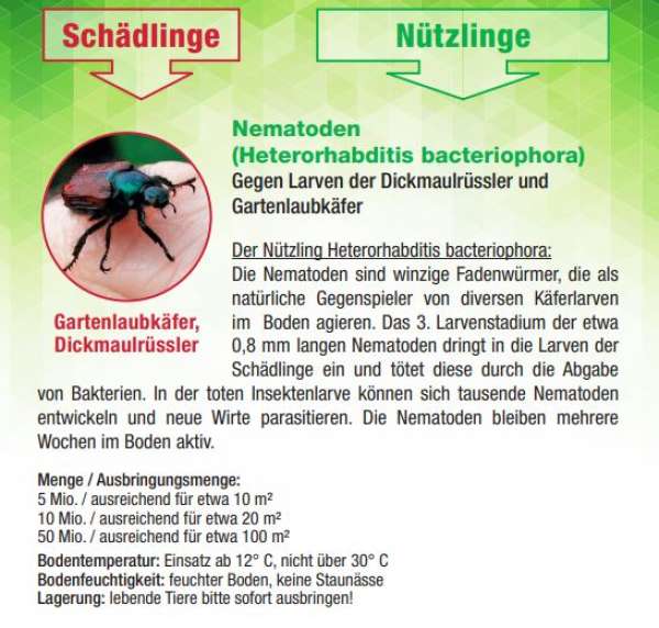 Dr. Stähler Nematoden (Heterorhabditis bacteriophora)