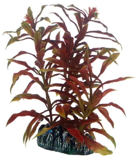Hobby Nesaea, 13 cm