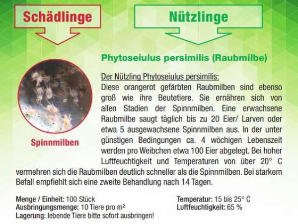 Dr. Stähler Phytoseiulus persimilis (Raubmilbe)