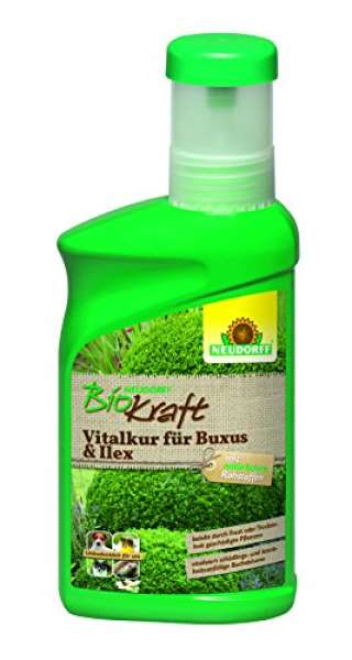 Neudorff BioKraft Vitalkur für Buxus & Ilex 300 ml