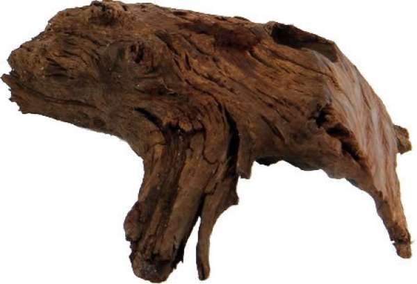 Hobby Mangrovenholz S, 15-25cm