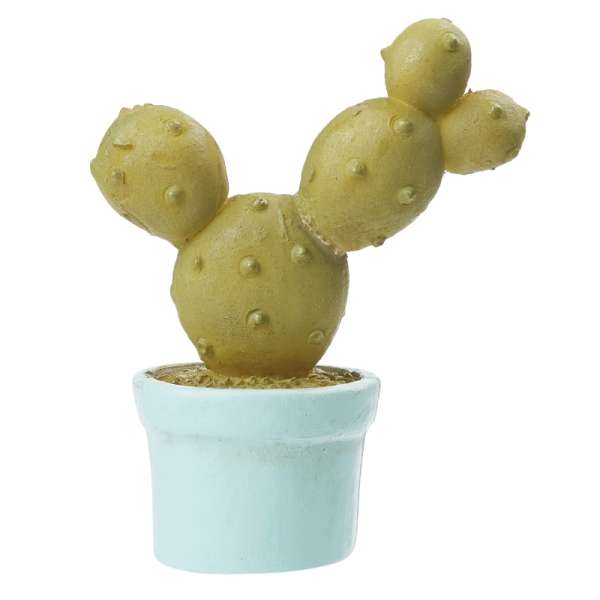 Kaktus mit Topf 4,5 cm