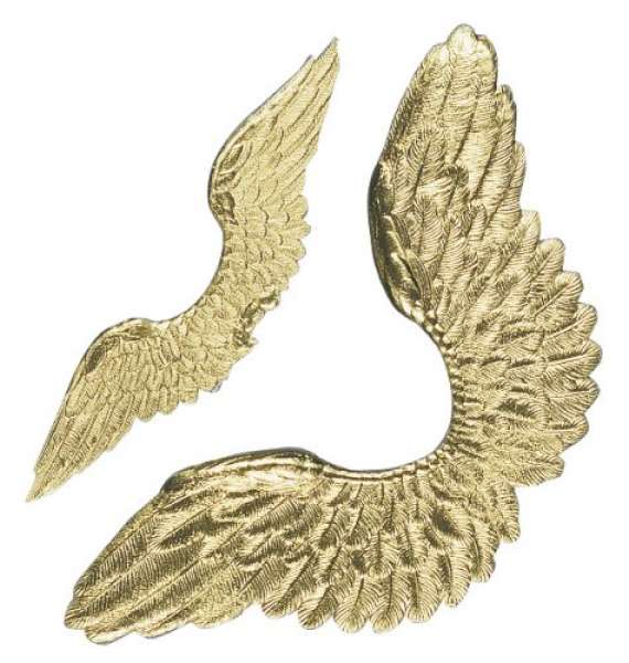 Engelflügel gold