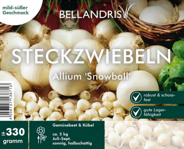 Steckzwiebeln Allium Snowball 330 g