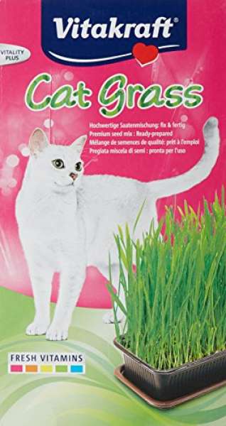 Vitakraft Cat Gras 120g