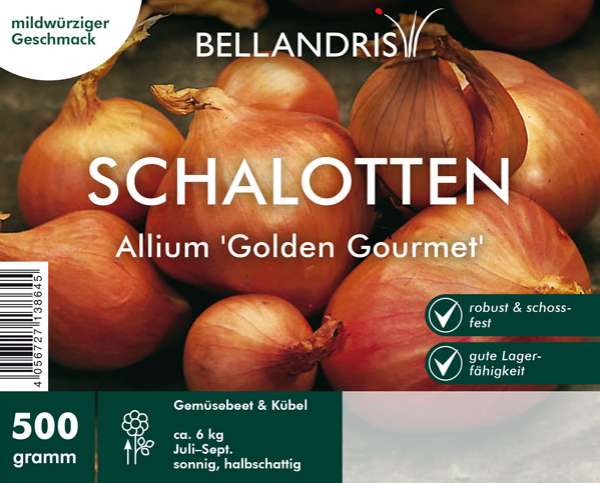 Schalotte Allium Golden Gourmet 500 g