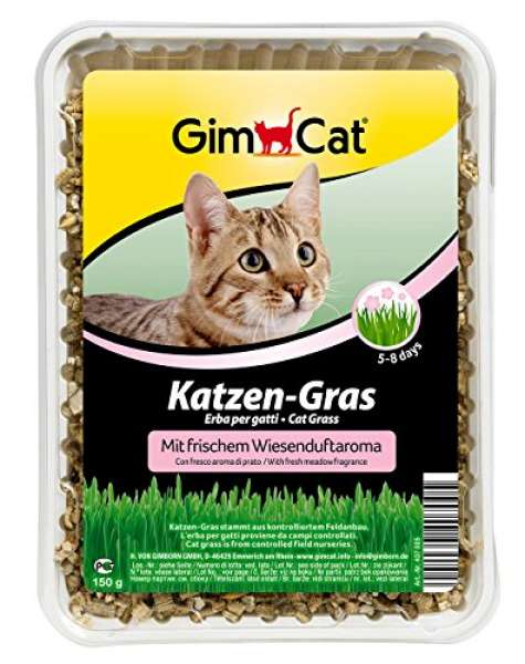 GimCat Katzengras 150g Wiese