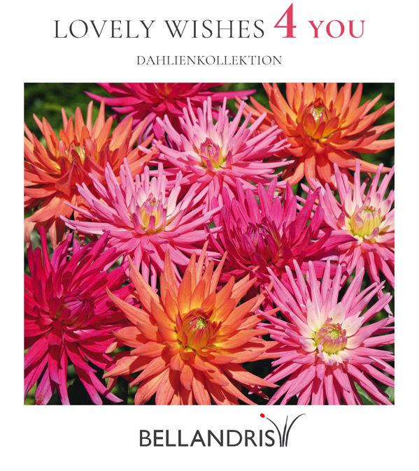 lovely-wishes-4-you-x3-be