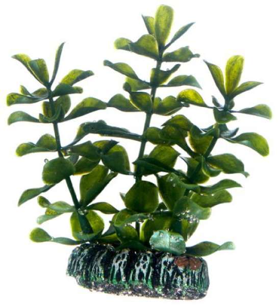 Hobby Bacopa, 7 cm