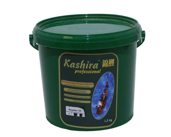 Kashira Regular 1,50 kg