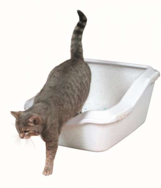 Trixie Katzentoilette Cleany Cat mit Rand, weiß