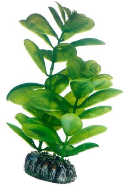 Hobby Saururus, 16 cm