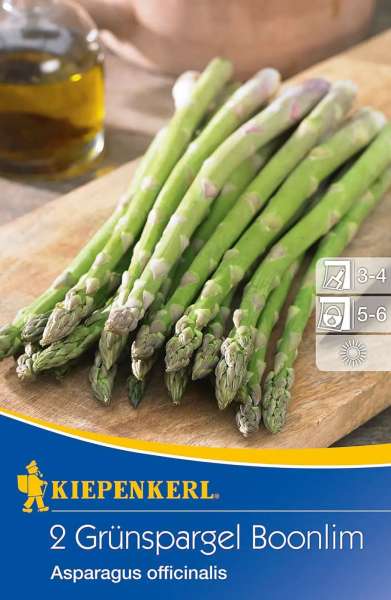 Kiepenkerl Grünspargel Boonlim Asparagus officinalis