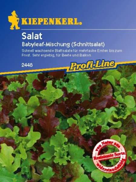 Salat Babyleaf-Mischung