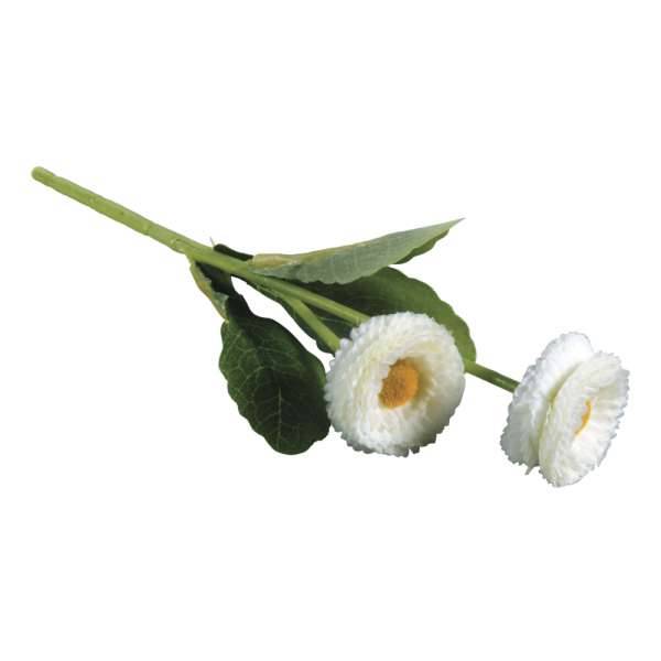 Maßliebchen Pick weiß 23cm 2 Blüten