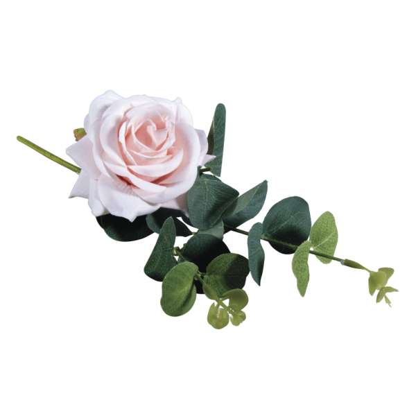 Rosen Pick +Eukalyptus rose 28cm