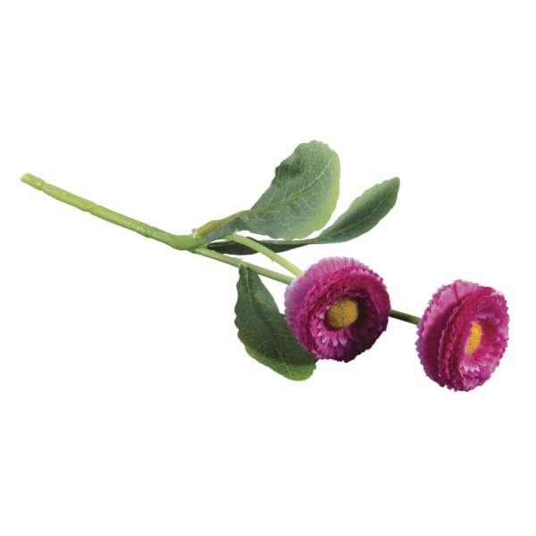 Maßliebchen Pick pink 23cm 2 Blüten