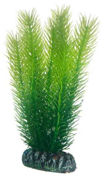 Hobby Mayaca, 16 cm