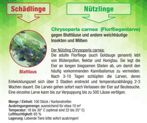 Dr. Stähler Chrysoperla carnea (Florfliegenlarve)