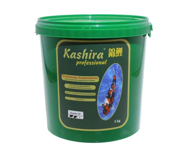 Kashira Regular 5 kg, L