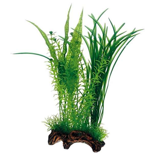 Hobby Flora Root 1, 30 cm